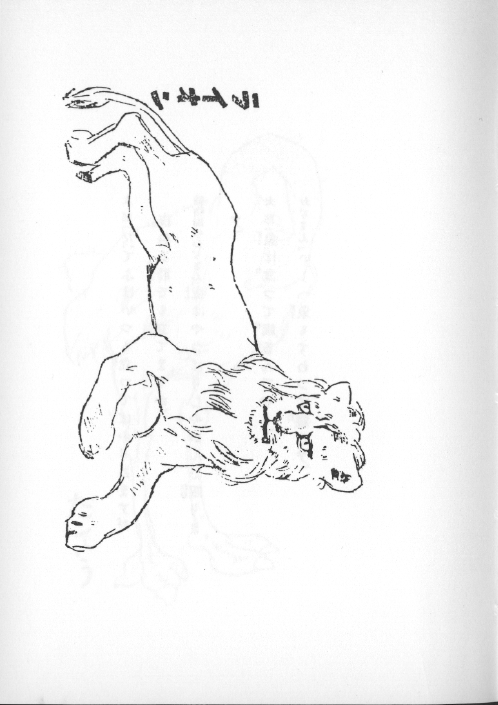 ライオンの挿絵