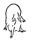挿絵