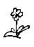 花の絵