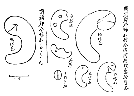 「第一七圖 國頭郡今歸仁村今泊阿應理惠按司勾玉」のキャプション付きの図