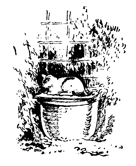 庭の猫の挿絵