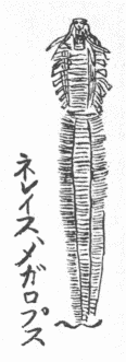 「第８図」のキャプション付きの図