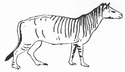 「第２図　馬の先祖ヒラコテリウム」のキャプション付きの図