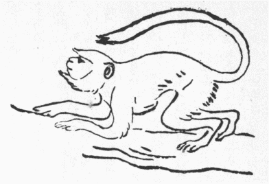 「第５図　ハヌマン猴」のキャプション付きの図