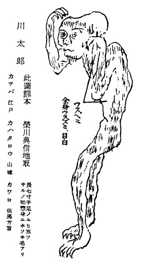 「川太郎…」のキャプション付きの河童の図