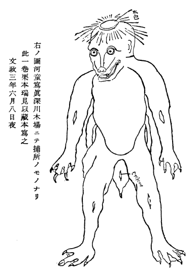 「右ノ圖河童寫眞深川木場ニテ捕所ノモノナリ…」のキャプション付きの河童の図