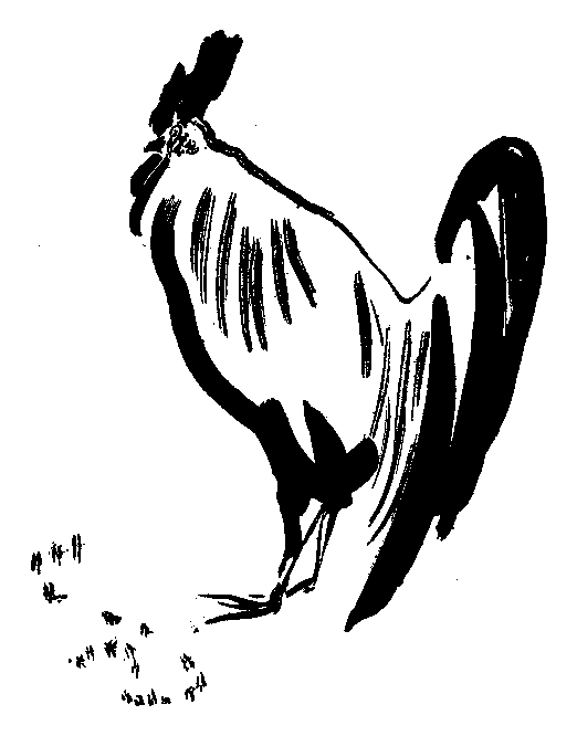 雄鶏の挿絵２