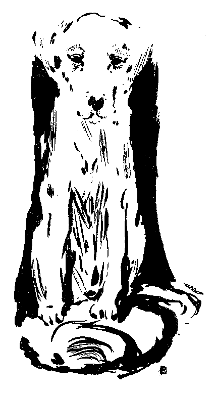 犬の挿絵