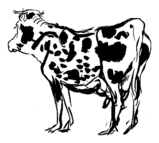 牝牛の挿絵