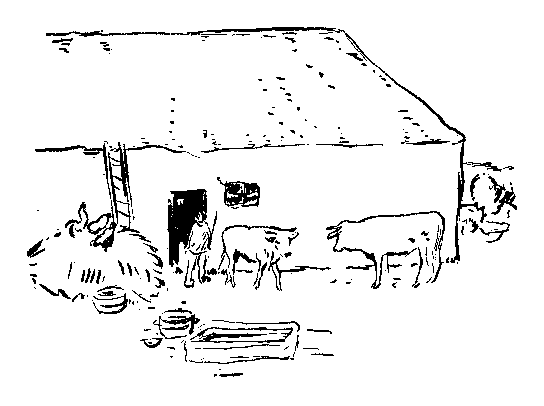 牛の挿絵