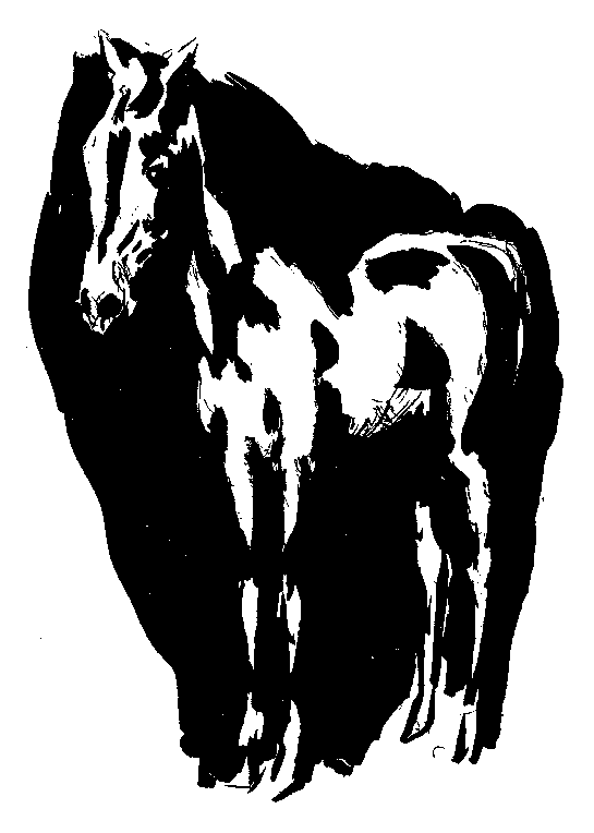 馬の挿絵