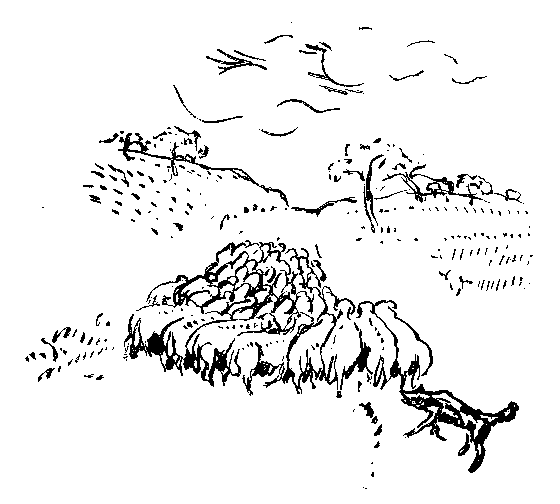 羊の挿絵