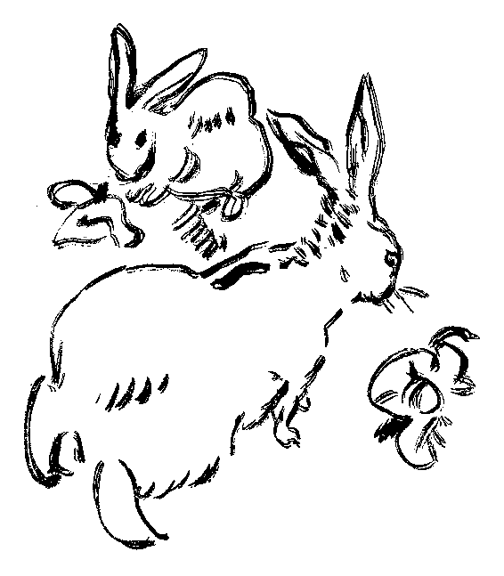 兎の挿絵