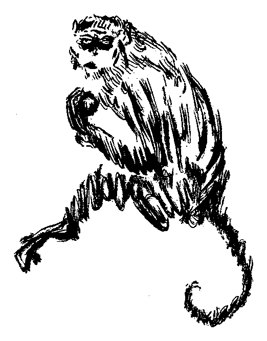 猿の挿絵