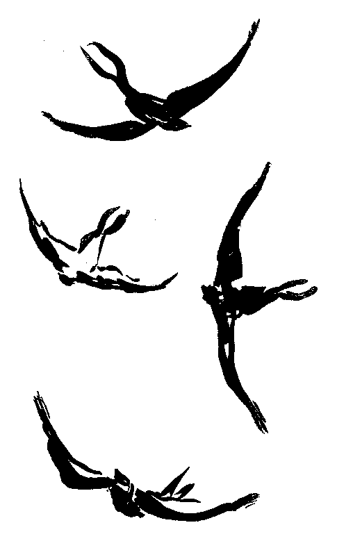 燕の挿絵