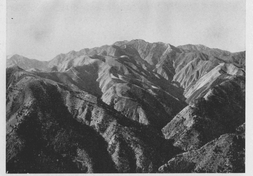 「●川苔山」のキャプション付きの写真