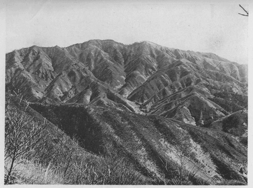 「●三頭山（佐野峠より）」のキャプション付きの写真