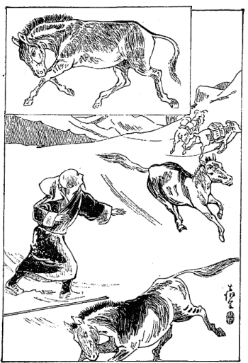「奇なる野馬の挙動と羊の逃走」のキャプション付きの図