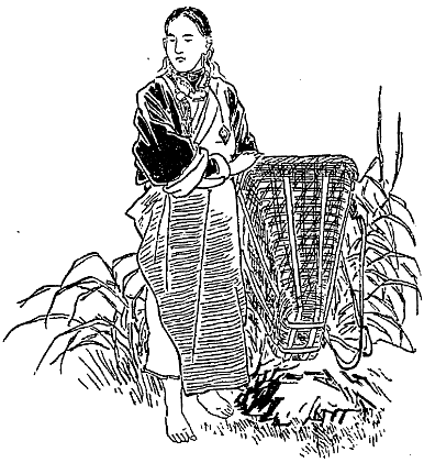 「ダージリン居住のチベットの荷持少女」のキャプション付きの図
