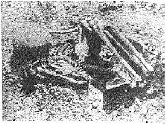「屈葬した石器時代の人骨（備中津雲貝塚）」のキャプション付きの図