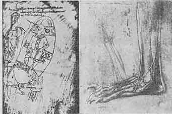 「Fig 33 Medieval Cauterization(left) & Anatomical Drawing by da Vinci (right).　図33　中世の焼灼術（左、11世紀）、レオナルド・ダヴィンチによる解剖図（右）」のキャプション付きの図