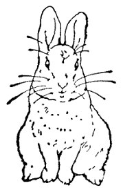 口絵2