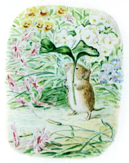 挿絵14
