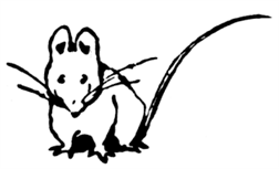 挿絵58