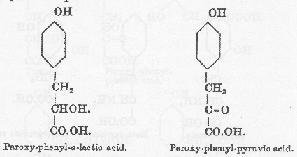 パラオキシフェニル−α−乳酸とパラオキシフェニルピルビン酸の化学構造式の図