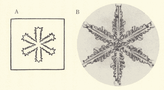 『雪華図説』の研究