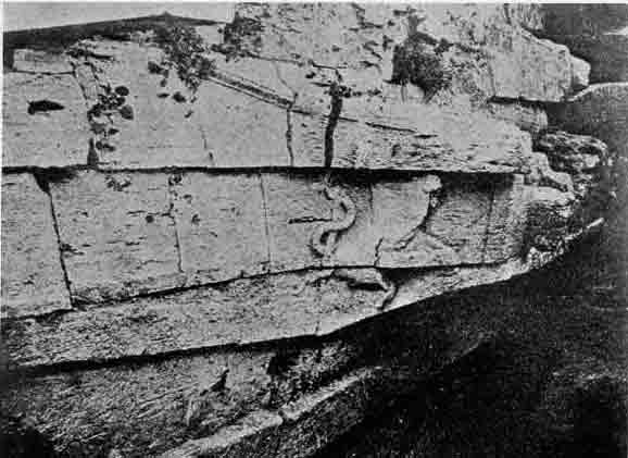 「第18図　アスクレピオスの蛇　ローマ近くのテベレ川の Isola San Bartolommeo に彫られたもの」のキャプション付きの図