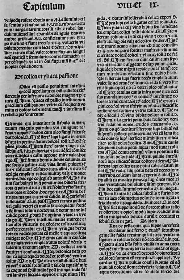「第46図　ローマ教皇ヨハネス21世の「慈善の宝庫」のページ（アントワープ、1486）」のキャプション付きの図