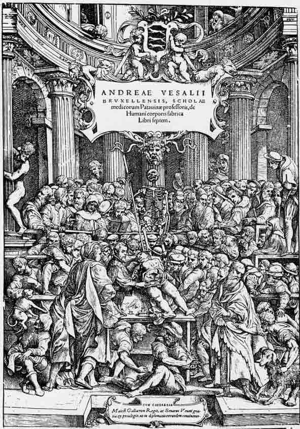 「第66図 ヴェサリウスのエピトーム(ファブリカも同じ)の扉(1543)」のキャプション付きの図
