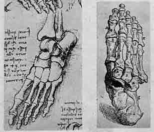「第71図　足の骨の図　レオナルド（左）ヴェサリウス（右）」のキャプション付きの図
