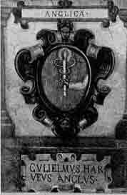 「第84図　パドヴァ大学の壁にあるハーヴィの家系図（医術の象徴つき）」のキャプション付きの図
