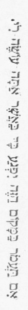 ブナの木に刻まれていた文字