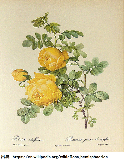 花3