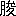 ※(「月+俊のつくり」、第4水準2-85-36)